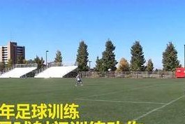 初学者足球训练技巧大全（提升足球技巧，享受足球乐趣）