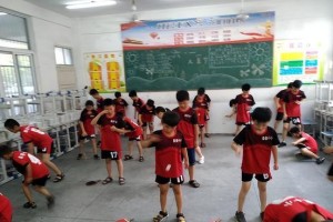 乒乓球训练秘籍（从零基础到高手，如何通过乒乓球性练习提升实力）