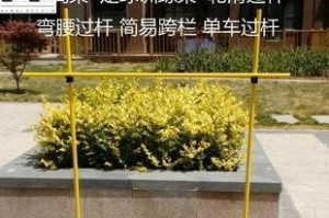 掌握足球连续过杆技巧，提升球技水平（打造极致连续过杆，让你成为场上的绝对王者）