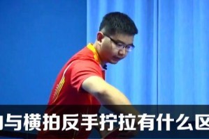 提高乒乓球技术的关键（揭秘乒乓球高手的必备技能，让你成为发球制胜的王者）