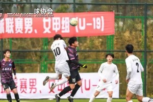 探索四川足球独特技巧的魅力（揭秘四川足球专项技巧，向世界展示川脚的风采）