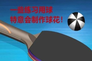 初学者如何掌握乒乓球接球技巧（简易教程让你快速提升乒乓球接球水平）
