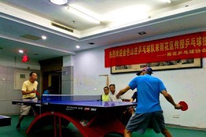 乒乓球发多球技巧解析（掌握发球技巧，提高乒乓球发球速度和变化效果）