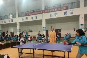乒乓球大球的直径及其影响（乒乓球大球浪潮下的新挑战）