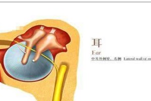 游泳耳朵堵住了疏通小技巧（解决游泳耳朵堵塞问题的有效方法）