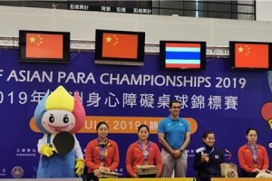 东京乒乓球颁奖晚会（团结友爱、勇创佳绩的晚会彰显了乒乓球运动的魅力）