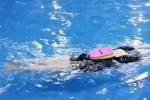 游泳拍腿技巧的完全指南（掌握游泳拍腿技巧的关键要点和动作教学）