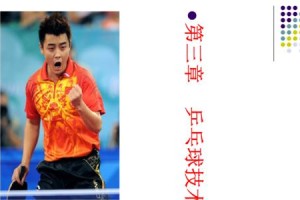 乒乓球专业考试技巧口诀（学会运用乒乓球专业技巧，轻松应对考试压力）