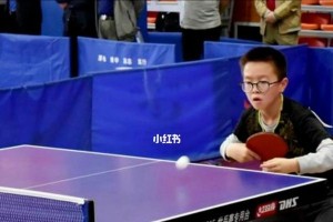 乒乓球小碎步（以小碎步为基础的乒乓球训练）