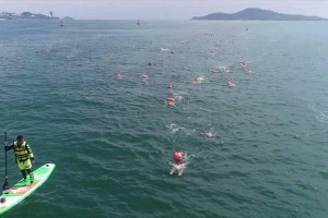 野外水域游泳技巧大全（掌握这些技巧，畅快游玩水域）