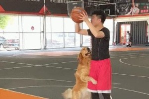 如何应对篮球防守中的绊人动作？（技巧与策略，不再被绊倒！）