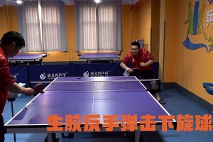 乒乓球技巧大揭秘（掌握正确的动作和发力技巧，打出致命的旋转球）