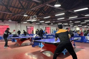 乒乓球（乒乓球——一场让人拥有身心愉悦的运动之旅）