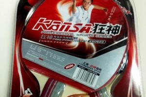 乒乓球球拍的长度及其影响因素（探究乒乓球球拍长度对比赛结果的影响）