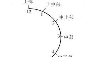 乒乓球训练秘籍大全（打造卓越球技，成为乒乓球高手）