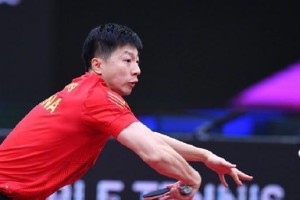 樊振东（打破纪录、追求卓越——樊振东的青奥征程）