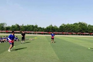 足球教练手法技巧（成功球队的关键是什么？——足球教练手法技巧）