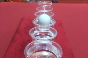 乒乓球半个瓶子手指的魅力（探索乒乓球运动的无限可能）