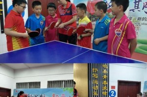 2017乒乓球回看（回望中国乒乓球队在2017年的伟大表现）