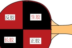 乒乓球各种打法类型详解（揭秘乒乓球打法类型的奥秘，帮你打出高水平！）