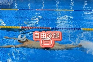 游泳自由技巧大全（掌握关键动作，轻松畅游）