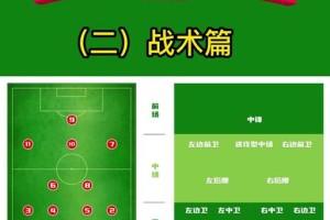 足球技巧大全（掌握足球技巧的秘诀，提升你的球场表现力）