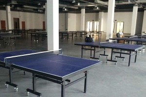 乒乓球桌标准尺寸与规格要求（探索乒乓球桌的尺寸标准和规格要求）