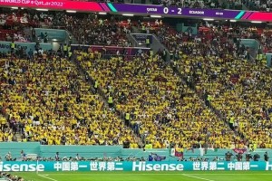 卡塔尔世界杯神级进球（壮丽进球震撼世界，卡塔尔世界杯实力证明）