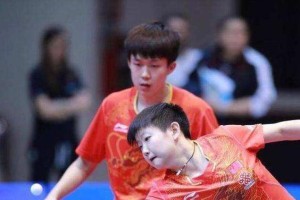 乒乓球专业棋手名单（挑战全球顶尖乒乓球选手，追寻背后的故事与荣耀）
