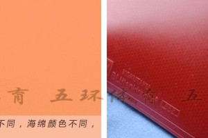 选择适合的乒乓球套胶，提升你的球技水平（从性能到品牌，全面解读乒乓球套胶的选择要点）