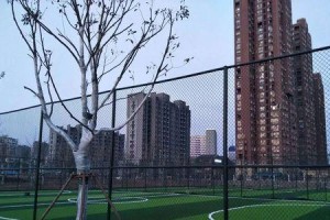 足球场地管理技巧（提升场地使用效率、维护设施安全、优化运动环境）