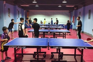 深入探究金坛区乒乓球教学的独特魅力（发现金坛乒乓球的精髓，提升技艺的秘诀）