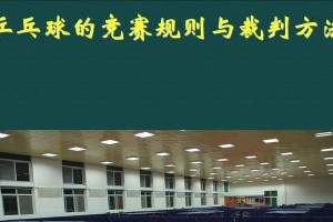 乒乓球判罚（深入解析乒乓球比赛中的判罚规则与技巧）