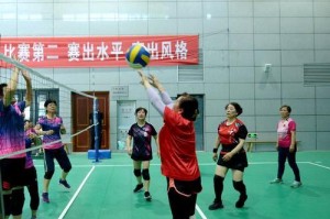 打造高水平的打气排球技巧（掌握关键动作，提升竞技水平）