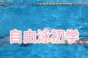 小罗自由游泳技巧教学（从零基础到游泳高手，掌握自由泳的窍门）