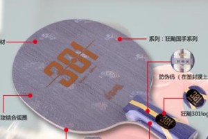 如何选择适合自己的乒乓球底板（考虑关键因素，找到最佳选择）