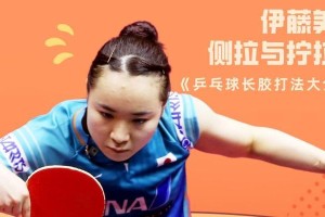 乒乓球的主要打法及战术分析（探索乒乓球比赛中的技巧与策略，提升你的战术水平）