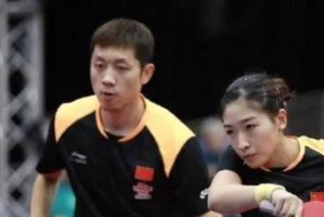 王楠（乒乓球女神的退役与复出）