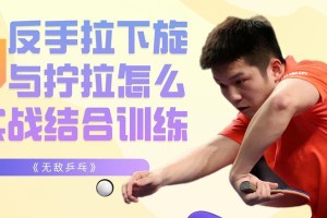 乒乓球单挑技术教学——提升你的球艺水平（从零基础到高手，掌握乒乓球单挑技巧）