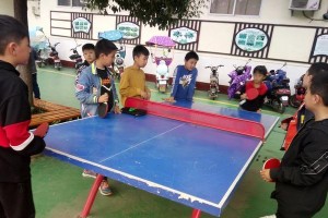 乒乓球训练的效果及持续时间研究（揭示乒乓球训练效果的关键因素及持续时间推荐）