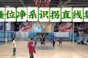 探索排球12号位战术要领（解析12号位的角色定位与技术要求，助力球队取得优势）