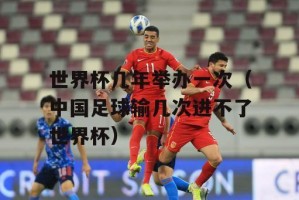 世界杯（揭秘世界杯的举办次数及演变历程）