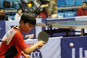 曹燕华乒乓球教学的艺术之道（以世界冠军曹燕华为师，揭秘乒乓球教学的奥秘）