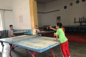 小学乒乓球购买攻略（如何选择适合小学生的乒乓球及其数量？）