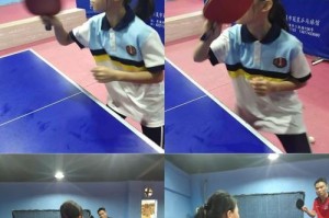 乒乓球组合训练技巧（以团队协作为关键，打造无懈可击的乒乓球组合训练）