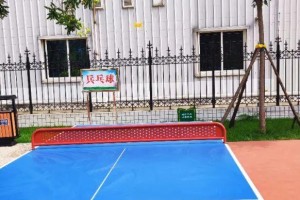 如何提高投乒乓球进垃圾桶的技巧（乒乓球投进垃圾桶，小球大智慧）