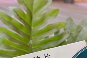 游泳新手必读！避免踩坑的技巧（一步步教你学会游泳，解决你的难题）