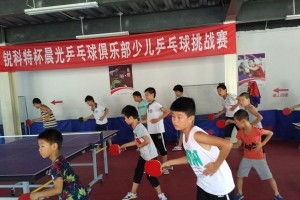 乒乓球研究现状与未来发展（探索乒乓球的技术、训练和竞技水平）