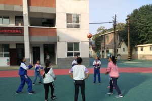 学生排球比赛要领——打造完美球队的秘诀（全面掌握比赛技巧，让你的球队无往不胜）