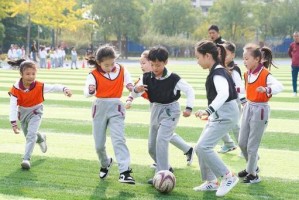 国外孩子的足球技巧——征服世界球场的秘密武器（揭秘国外孩子如何以优秀足球技巧征服世界球场的关键）